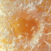 Surface Layer (Epidermis)